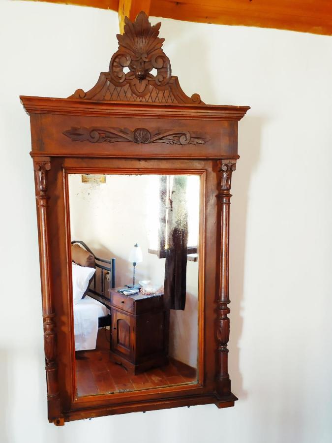 Villa Chrysodimi Chalki Town Extérieur photo